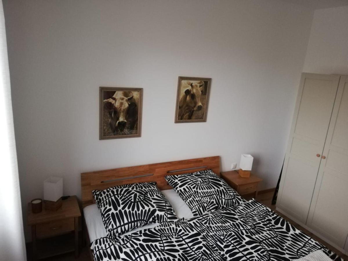 Ferienwohnungen Frank Segnitz Екстер'єр фото
