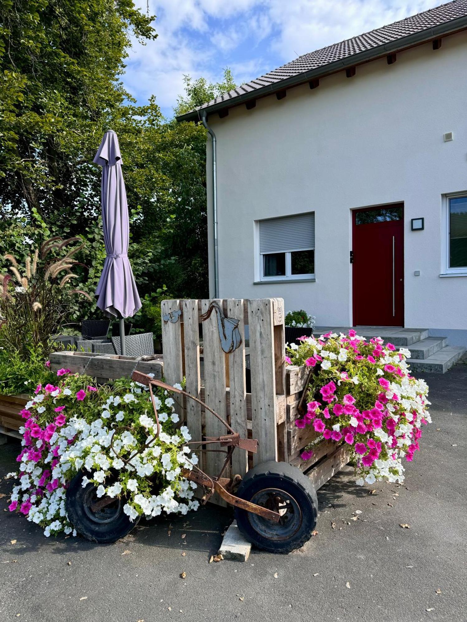 Ferienwohnungen Frank Segnitz Екстер'єр фото